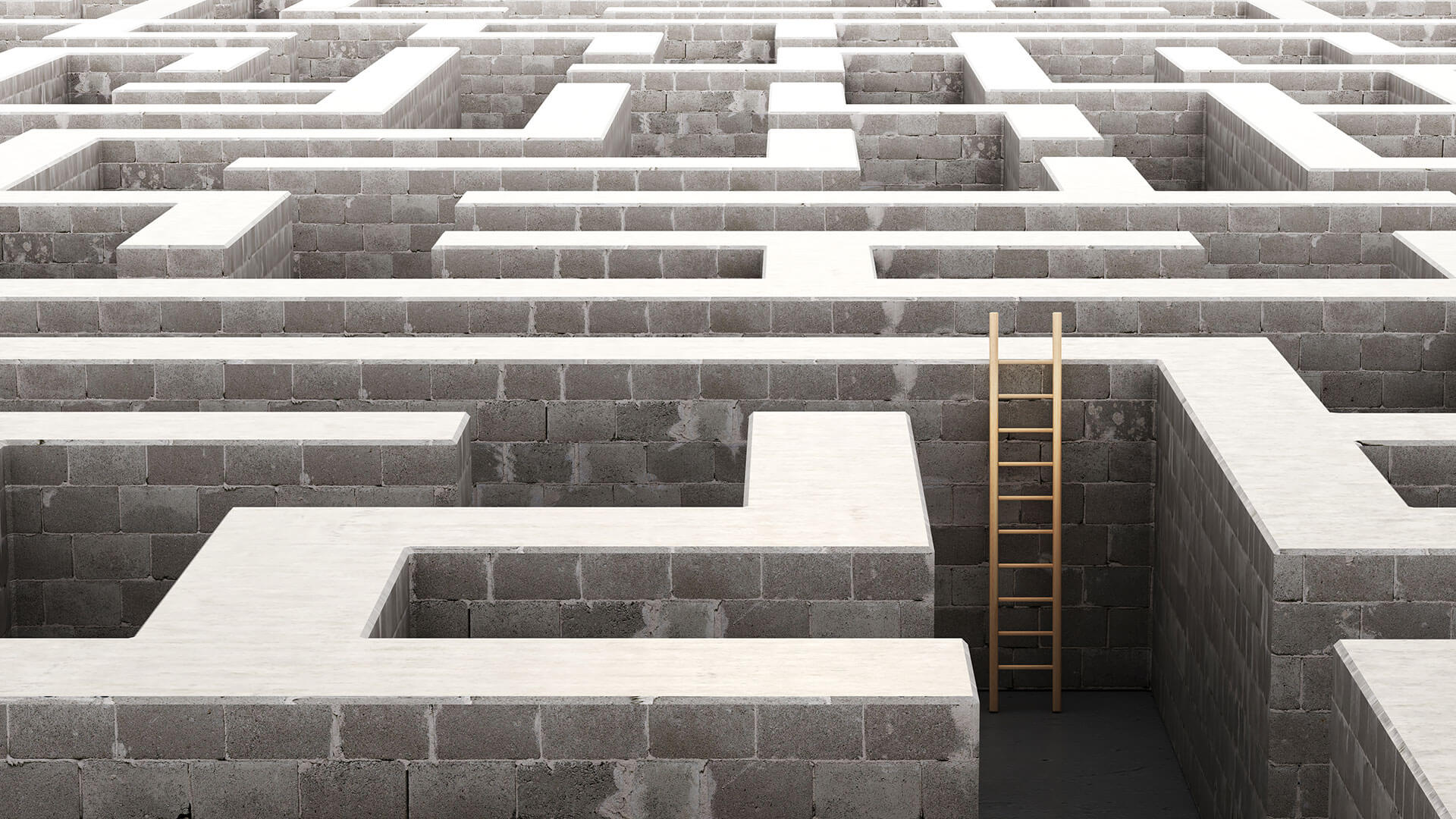 A ladder sticks up out of a three dimensional maze indicating an end to the navigating ECEI